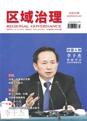 区域治理封面 区域治理封面